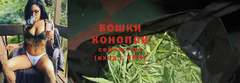 Бошки Шишки THC 21%  MEGA как войти  Лукоянов 